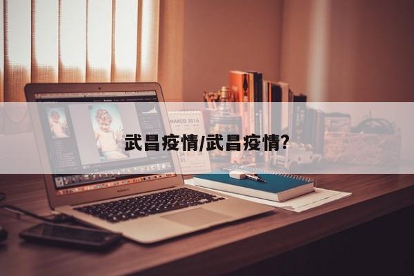 武昌疫情/武昌疫情?