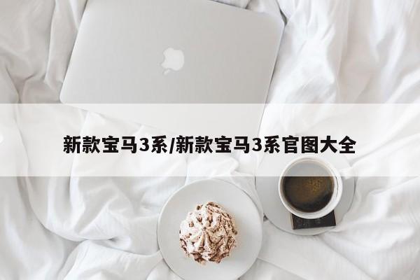 新款宝马3系/新款宝马3系官图大全