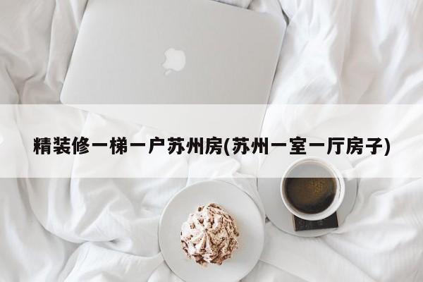 精装修一梯一户苏州房(苏州一室一厅房子)