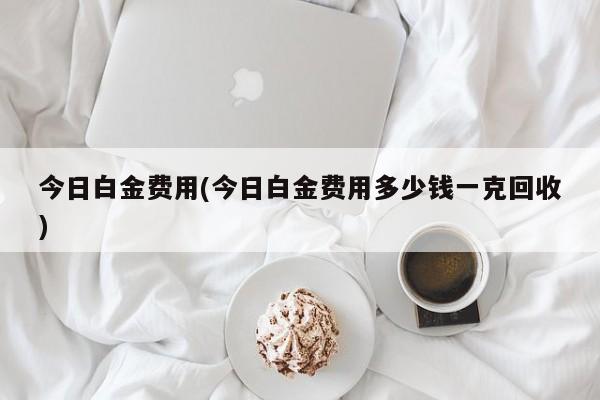 今日白金费用(今日白金费用多少钱一克回收)