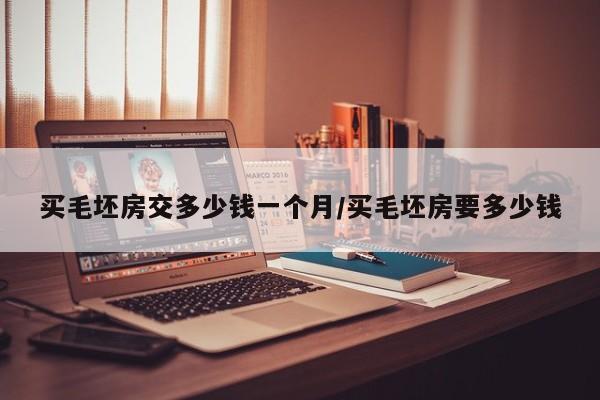 买毛坯房交多少钱一个月/买毛坯房要多少钱
