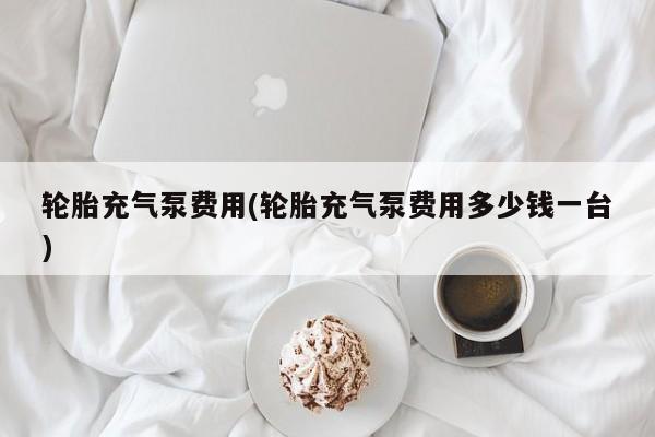 轮胎充气泵费用(轮胎充气泵费用多少钱一台)