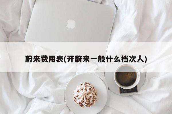 蔚来费用表(开蔚来一般什么档次人)