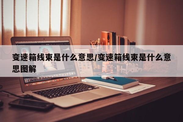 变速箱线束是什么意思/变速箱线束是什么意思图解