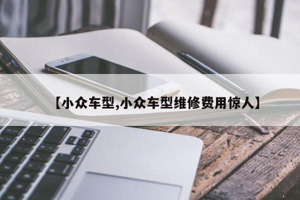 【小众车型,小众车型维修费用惊人】