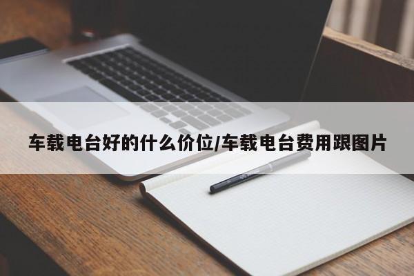车载电台好的什么价位/车载电台费用跟图片