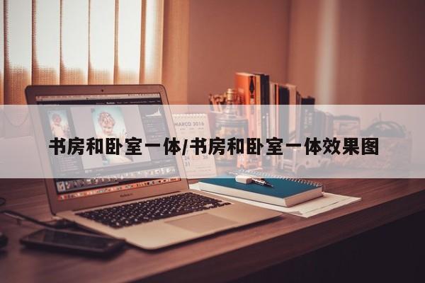 书房和卧室一体/书房和卧室一体效果图