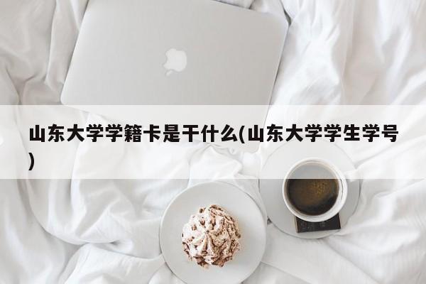 山东大学学籍卡是干什么(山东大学学生学号)
