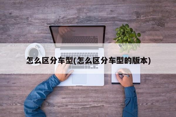 怎么区分车型(怎么区分车型的版本)