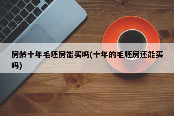 房龄十年毛坯房能买吗(十年的毛胚房还能买吗)