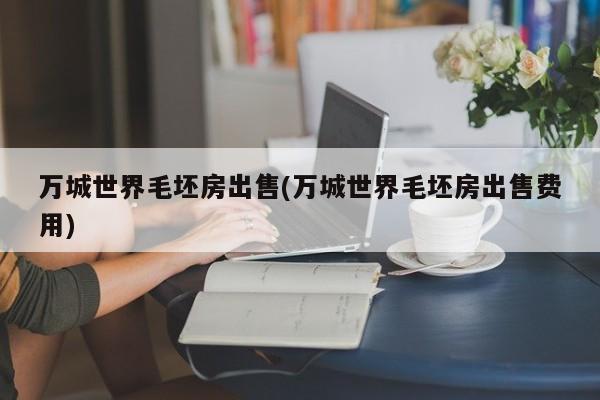 万城世界毛坯房出售(万城世界毛坯房出售费用)