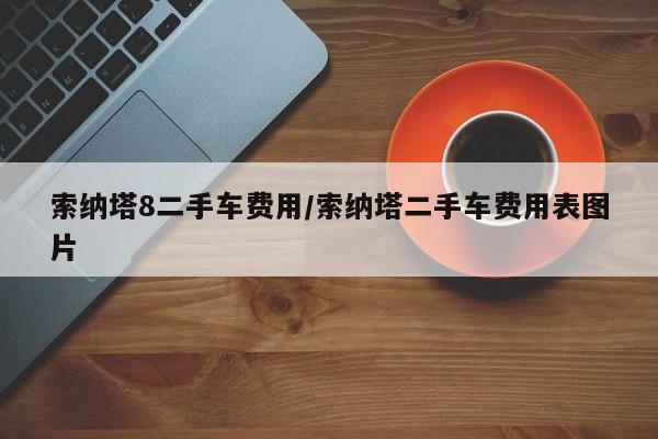 索纳塔8二手车费用/索纳塔二手车费用表图片