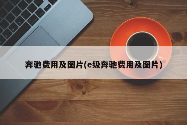 奔驰费用及图片(e级奔驰费用及图片)