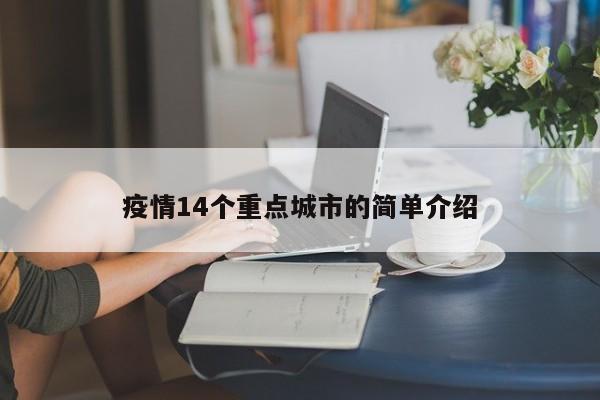 疫情14个重点城市的简单介绍