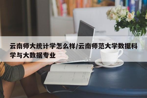 云南师大统计学怎么样/云南师范大学数据科学与大数据专业