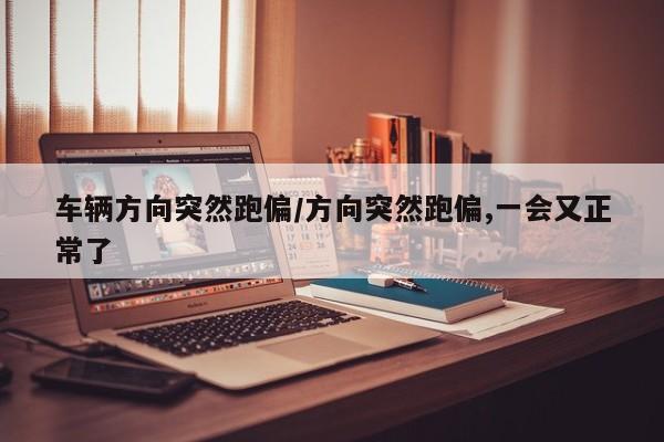 车辆方向突然跑偏/方向突然跑偏,一会又正常了