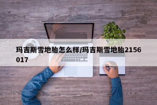 玛吉斯雪地胎怎么样/玛吉斯雪地胎2156017